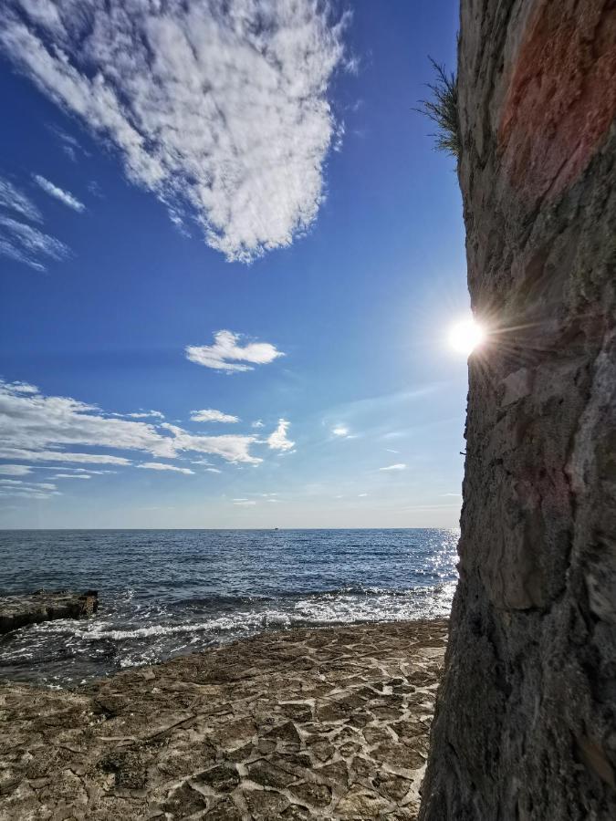 Lora Deluxe Superior 5 Star Apartment, Your Piece Of Heaven By The Sea & Park With Sea & Park View Novigrad  Exterior photo